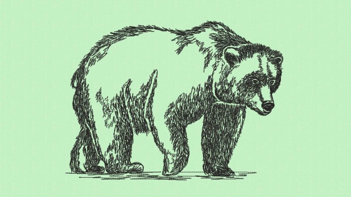 Bears Hand Drawing Embroidery Designs