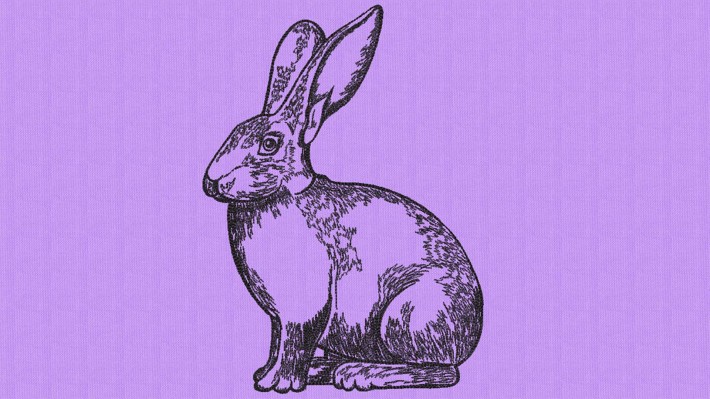 Rabbit Hand Drawing Embroidery Designs