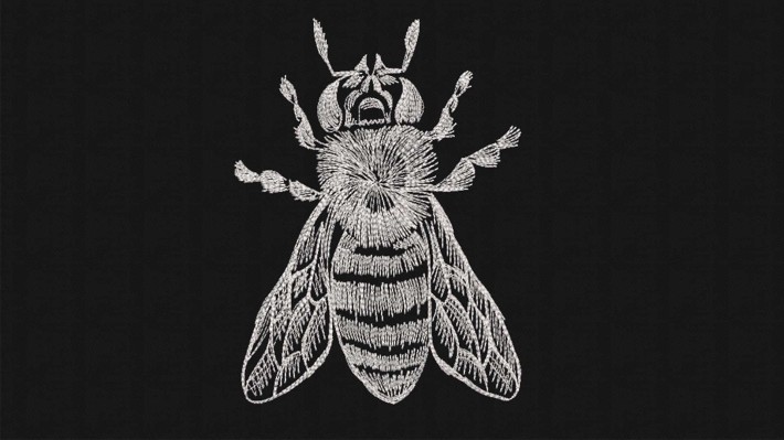 Bee Hand Drawing Designs