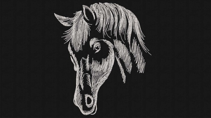 Hand Drawn Horse Head