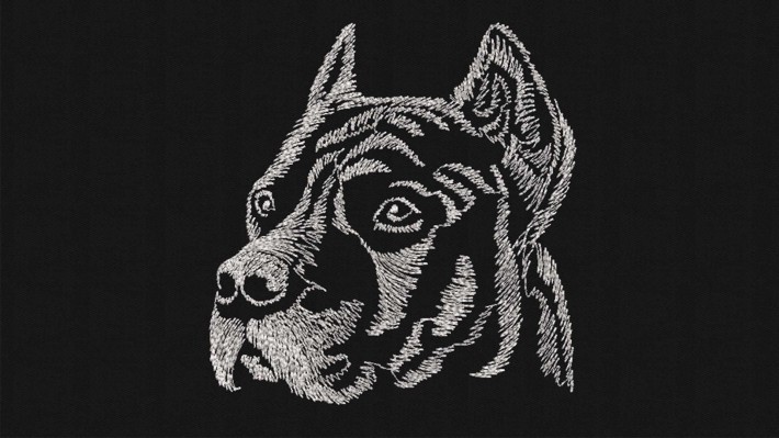 Hand Drawn Labrador Head
