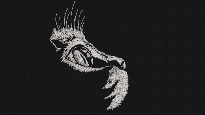 Hand Drawn Staring Cat
