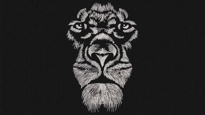Hand Drawn Lion Face