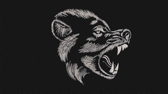 Hand Drawn Wolf Head