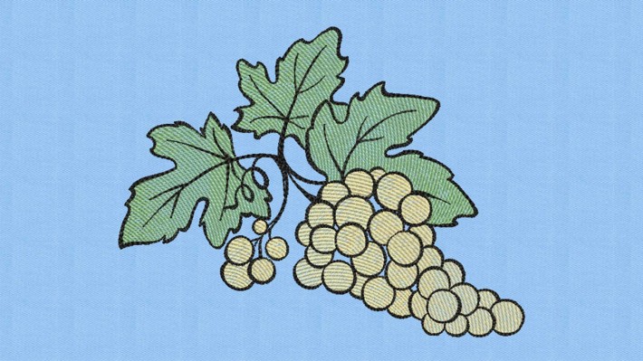 Sketches Grape Decoration