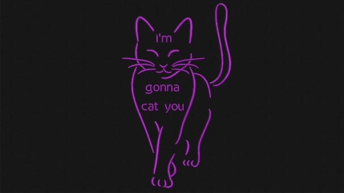 I'm Gonna Cat You Embroidery Designs