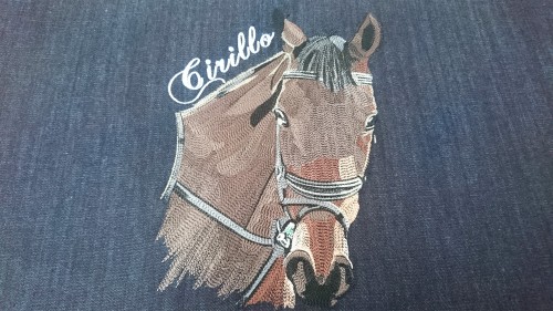 Turn your real pet photos into embroidery designs files